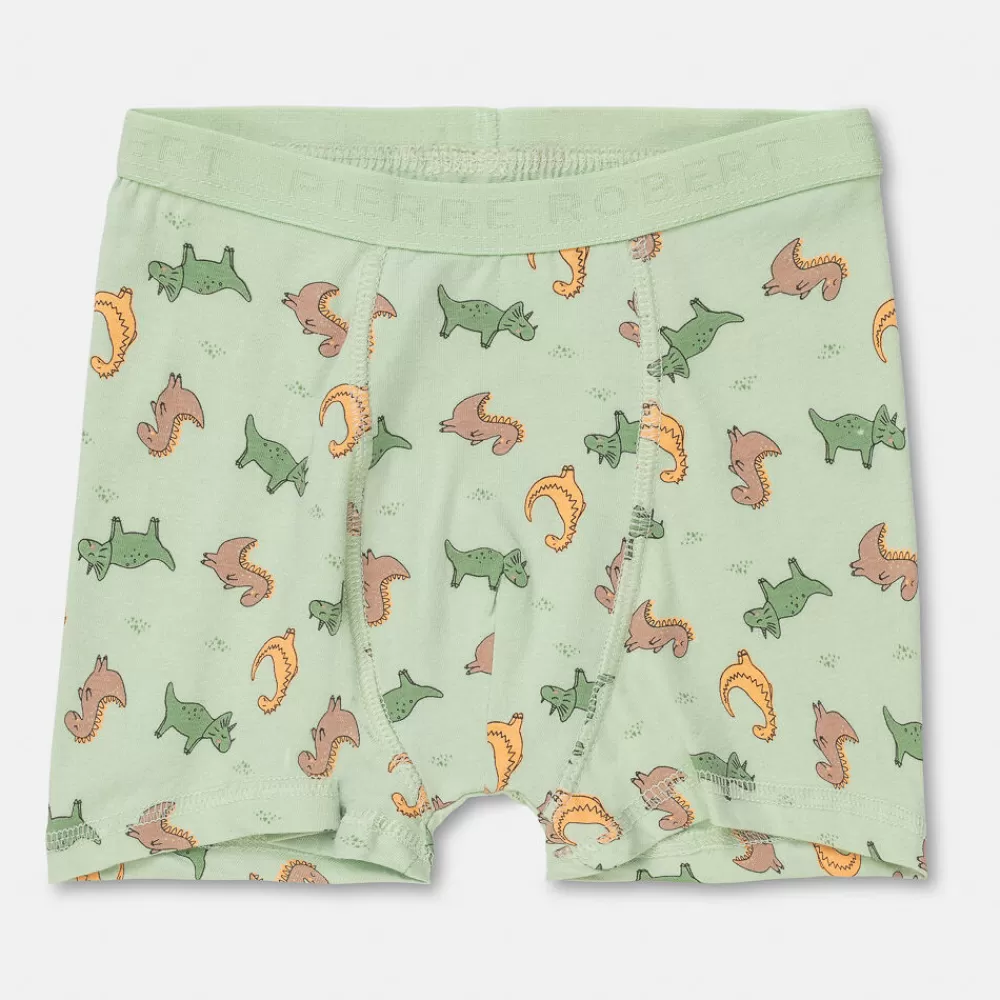 Pierre Robert Undertøy-Boxershorts I Bomull Liten Gutt Sky Blue and Mint Green