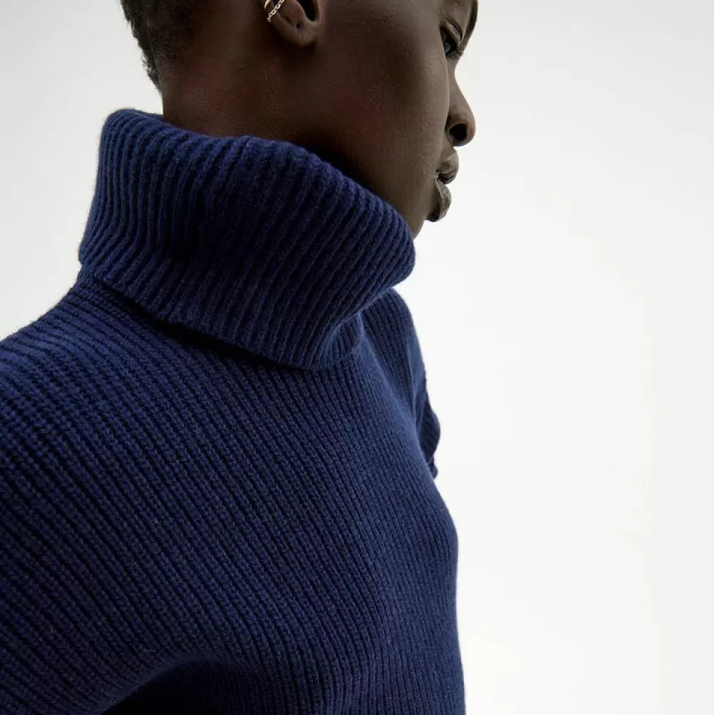 Pierre Robert Overdeler | Gensere-Genser Med Avtagbar Hals Blue/Ivory stripe